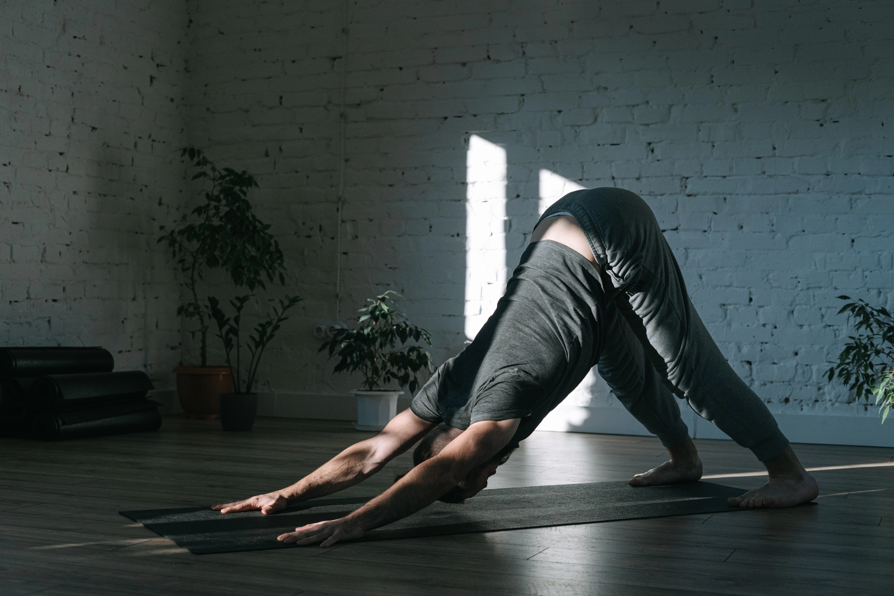 Downward Dog (Adho Mukha Svanasana)